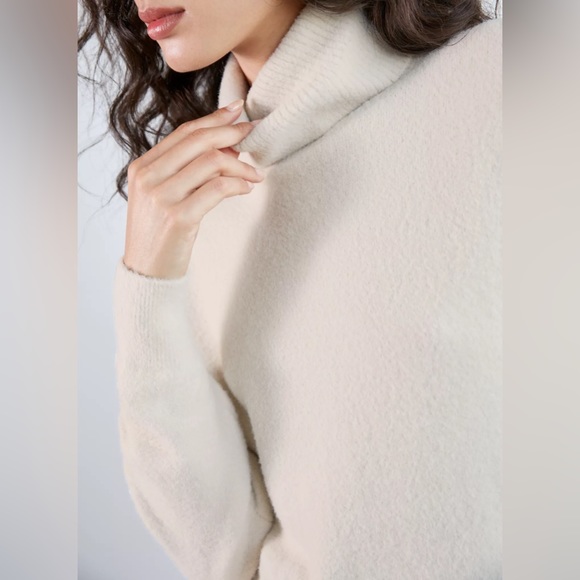 Wilfred Free Hush Knit Cropped Turtleneck - Picture 4 of 10